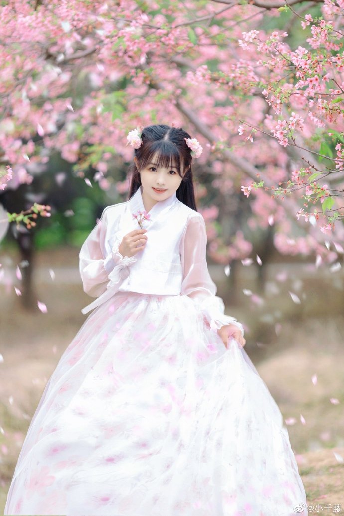 7月22日电视剧更新一览，九部剧迎来新章节，《悬案》回归，《雀骨》落下帷幕
